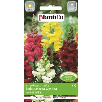 Lwia Paszcza Wysoka Mieszanka 0.5 g Plantico