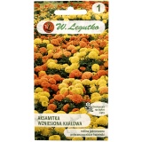 Kup razem Aksamitka Wzniesiona Karłowa Mix Nasiona 0,5 g Legutko