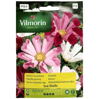 Kosmos Muszelkowy Sea Shells Mieszanka 0,2 g GC2 Vilmorin