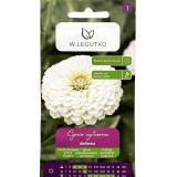Kup razem Cynia Daliowa Biała Polar Bear Nasiona 1 g Legutko