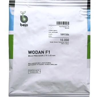 Burak Ćwikłowy Wodan 10 tys. Nasion (2,75-3,0) ST