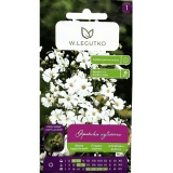 Kup razem Nasionka Gipsówka Mix 1g Legutko