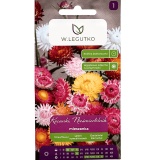 Kup razem Nasionka Kocanka Mix Nieśmiertelnik 1g Legutko