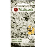 Kup razem Smagliczka Nadmorska Biała Nasionka 0,5 g Legutko