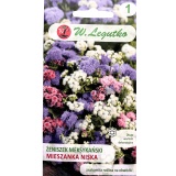 Kup razem Żeniszek Meksykański Mix Nasionka 0,5 g Legutko