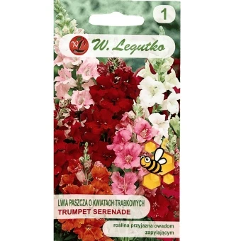 Lwia Paszcza Niska Mix Trumpet Kwiaty Trąbkowe Nasionka 0,1 g  Legutko