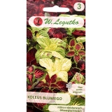 Kup razem Koleus Blumego 0,1 g Legutko