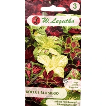 Koleus Blumego 0,1 g Legutko