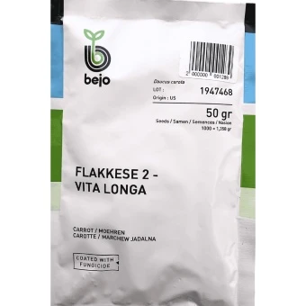 Marchew Flakkese 2 Vita Longa odmiana dla Przemysłu i na Paszę 50 g ST Bejo