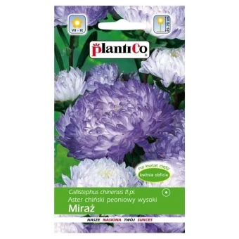 Aster Chiński Peoniowy Miraż 1 g Plantico