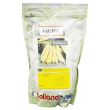 Kup razem Fasola Szparagowa Żółta Płaska Capitano Alseed 2500szt. St. Zaprawiane