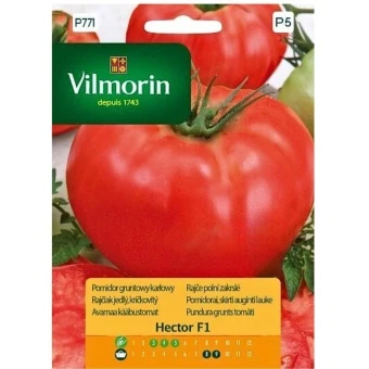 Pomidor Hector 0,1 g GC5 Vilmorin