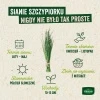 Szczypiorek Czosnkowu Nasiona 1 g