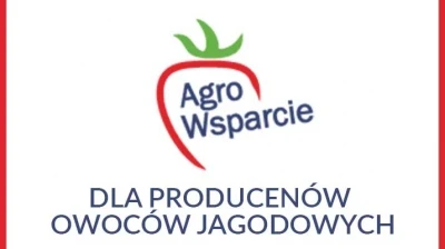 BLOG DLA PRODUCENTÓW OWOCÓW JAGODOWYCH 