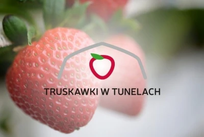 TRUSKAWKI W TUNELACH - WARSZTATY 8 MAJA