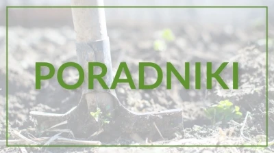 NEWSLETTER / PORADNIKI OCHRONY ROŚLIN 