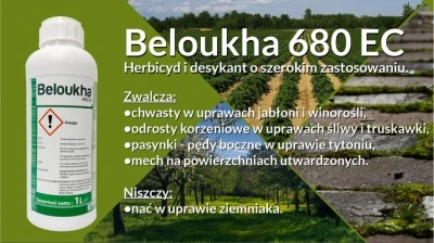 HERBICYD I DESYKANT BELOUKHA 680 EC – PRAKTYCZNE PORADY