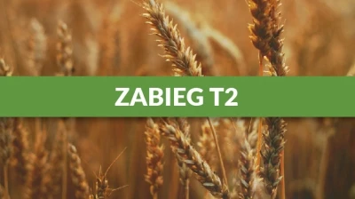 ZABIEG T2 – CZYM JEST I KIEDY STOSOWAĆ?