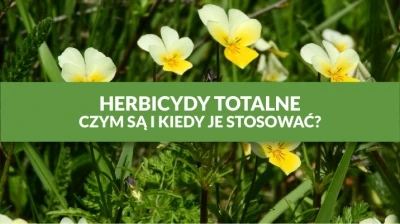 HERBICYDY TOTALNE - CZYM SĄ I KIEDY JE STOSOWAĆ?