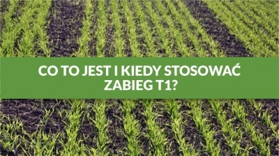 CO TO JEST I KIEDY STOSOWAĆ ZABIEG T1?