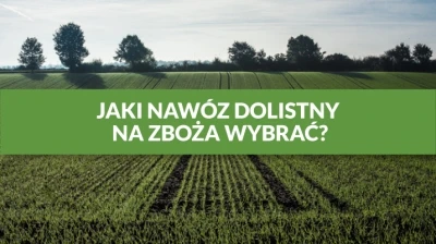 JAKI NAWÓZ DOLISTNY NA ZBOŻA WYBRAĆ?