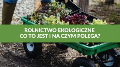 ROLNICTWO EKOLOGICZNE - CO TO JEST I NA CZYM POLEGA?