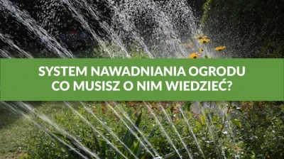 SYSTEM NAWADNIANIA OGRODU – CO MUSISZ O NIM WIEDZIEĆ?