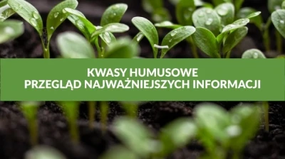 KWASY HUMUSOWE - PRZEGLĄD NAJWAŻNIEJSZYCH INFORMACJI