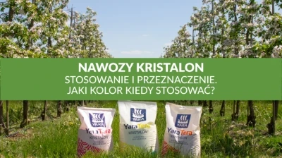 NAWOZY KRISTALON – STOSOWANIE I PRZEZNACZENIE. JAKI KOLOR KIEDY STOSOWAĆ?