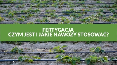 FERTYGACJA - CZYMS JEST I JAKIE NAWOZY STOSOWAĆ?