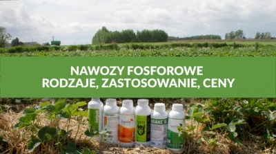 NAWOZY FOSFOROWE - RODZAJE, ZASTOSOWANIE, CENY
