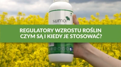 REGULATORY WZROSTU ROŚLIN - CZYM SĄ I KIEDY JE STOSOWAĆ?