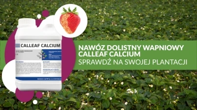 NAWÓZ DOLISTNY WAPNIOWY CALLEAF CALCIUM - SPRAWDŹ NA SWOJEJ PLANTACJI