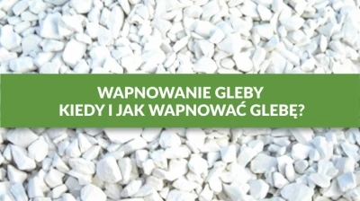 WAPNOWANIE GLEBY: KIEDY I JAK WAPNOWAĆ GLEBĘ?