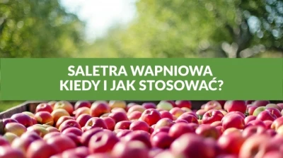 SALETRA WAPNIOWA – KIEDY I JAK STOSOWAĆ?