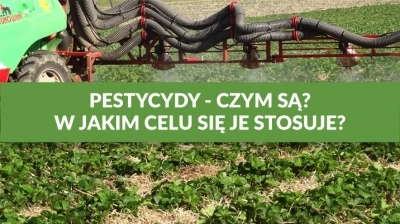 PESTYCYDY - CZYM SĄ I W JAKIM CELU SIĘ JE STOSUJE?