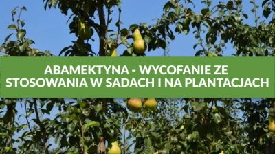 ABAMEKTYNA - WYCOFANIE ZE STOSOWANIA W SADACH I NA PLANTACJACH