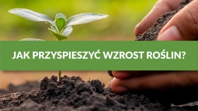 JAK PRZYSPIESZYĆ WZROST ROŚLIN?