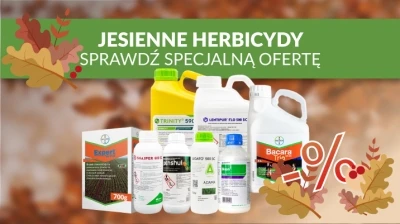 ZWALCZANIE CHWASTÓW W ZBOŻACH OZIMYCH JESIENIĄ – HERBICYDY ZBOŻOWE