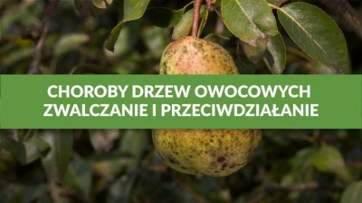 CHOROBY DRZEW OWOCOWYCH - ZWALCZANIE I PRZECIWDZIAŁANIE