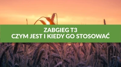 ZABIEG T3 - CZYM JEST I KIEDY STOSOWAĆ?