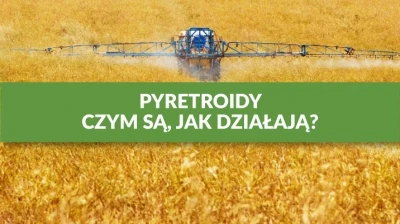 PYRETROIDY – CZYM SĄ, JAK DZIAŁAJĄ?