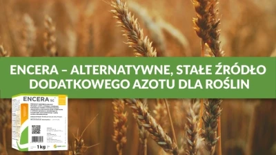 ALTERNATYWNE, STAŁE ŹRÓDŁO DODATKOWEGO AZOTU DLA ROŚLIN