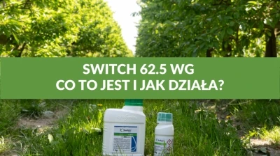SWITCH 62.5 WG - CO TO JEST I JAK DZIAŁA?
