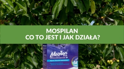 MOSPILAN - CO TO JEST I JAK DZIAŁA?