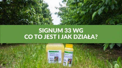 SIGNUM 33 WG - CO TO JEST I JAK DZIAŁA?
