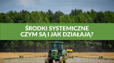 ŚRODKI SYSTEMICZNE – CZYM SĄ I JAK DZIAŁAJĄ?