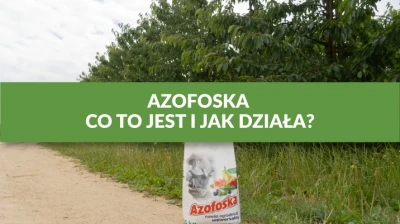 AZOFOSKA - CO TO JEST I JAK DZIAŁA?