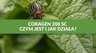 CORAGEN 200 SC — CZYM JEST I JAK DZIAŁA?🐛