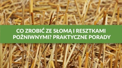 CO ZROBIĆ ZE SŁOMĄ I RESZTKAMI POŻNIWNYMI? PRAKTYCZNE PORADY